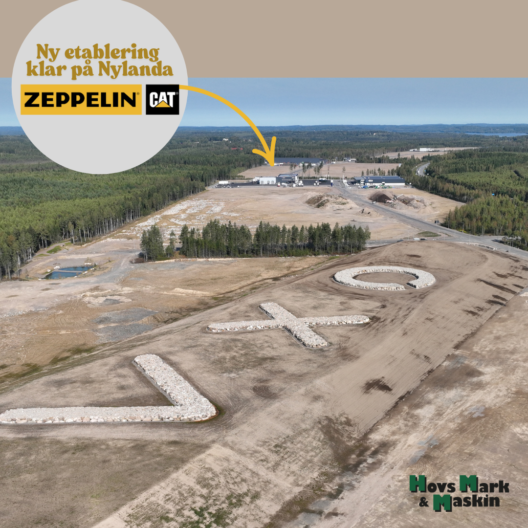 Ny etablering nylanda zepellin cat